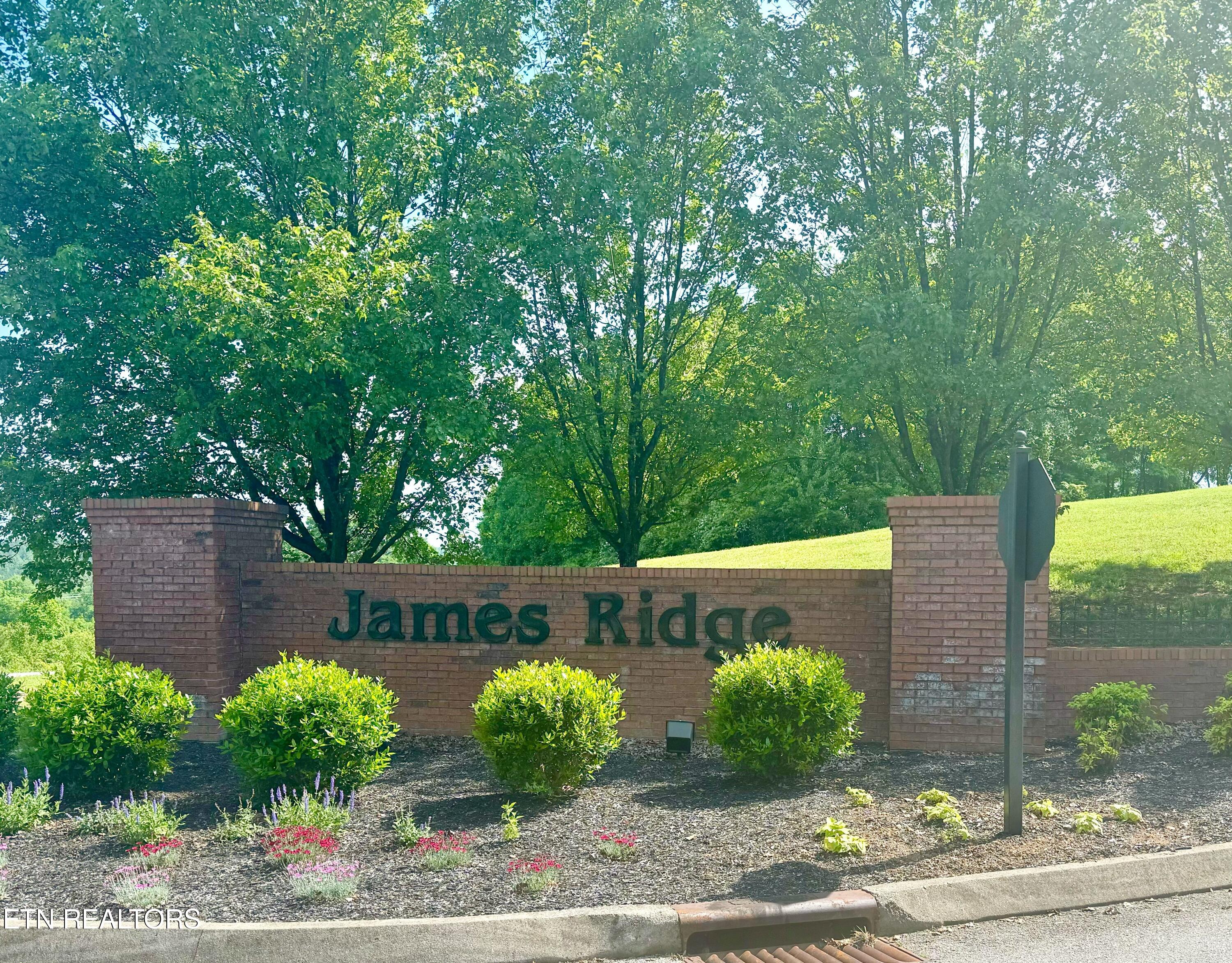 1667 James Ridge Road Loudon, TN 37774 - Photo 11 of 12 40AA456D-60B0-47DC-A450-E8453B47387B