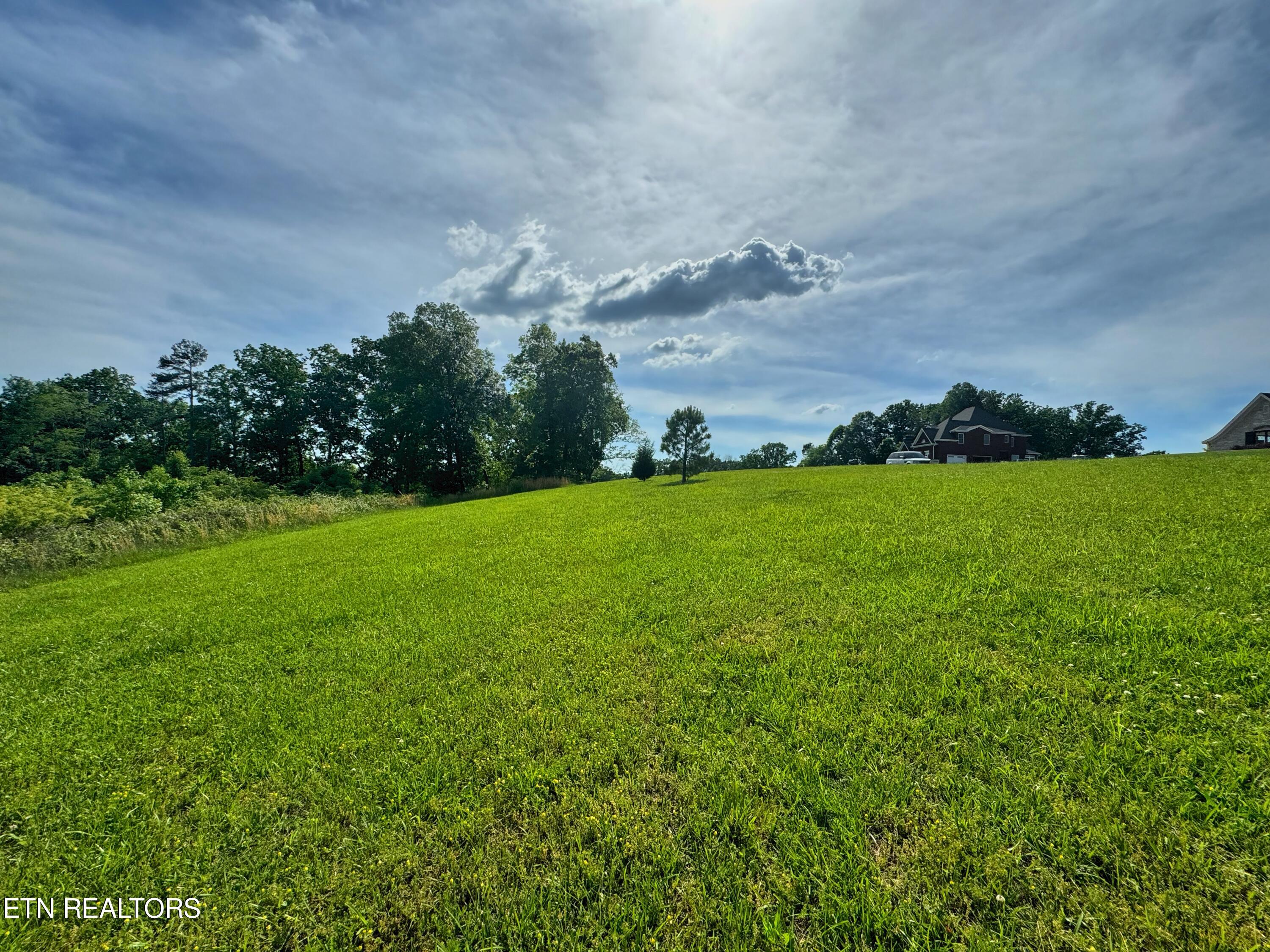 1667 James Ridge Road Loudon, TN 37774 - Photo 8 of 12 1E125297-8BA2-4F51-A523-212DA3C10E4E