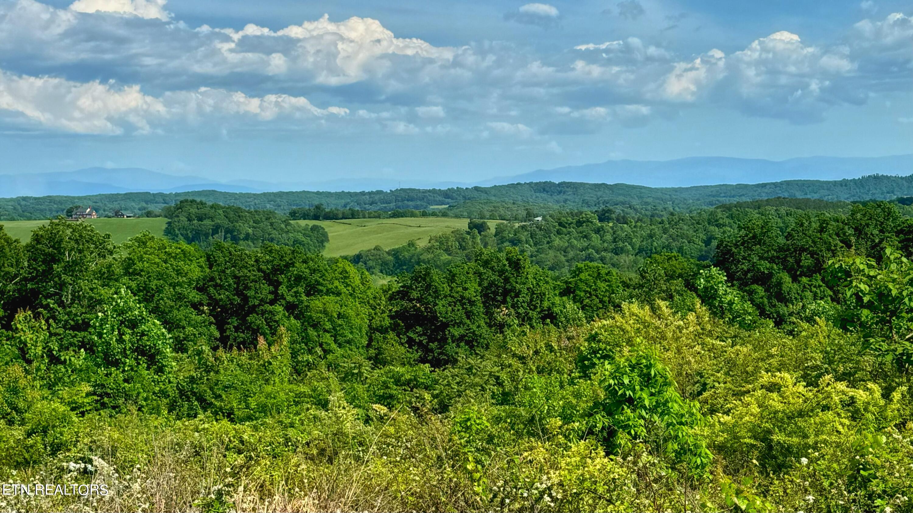 1667 James Ridge Road Loudon, TN 37774 - Photo 10 of 12 7D884911-D0C1-4B01-A035-035F4849E80F