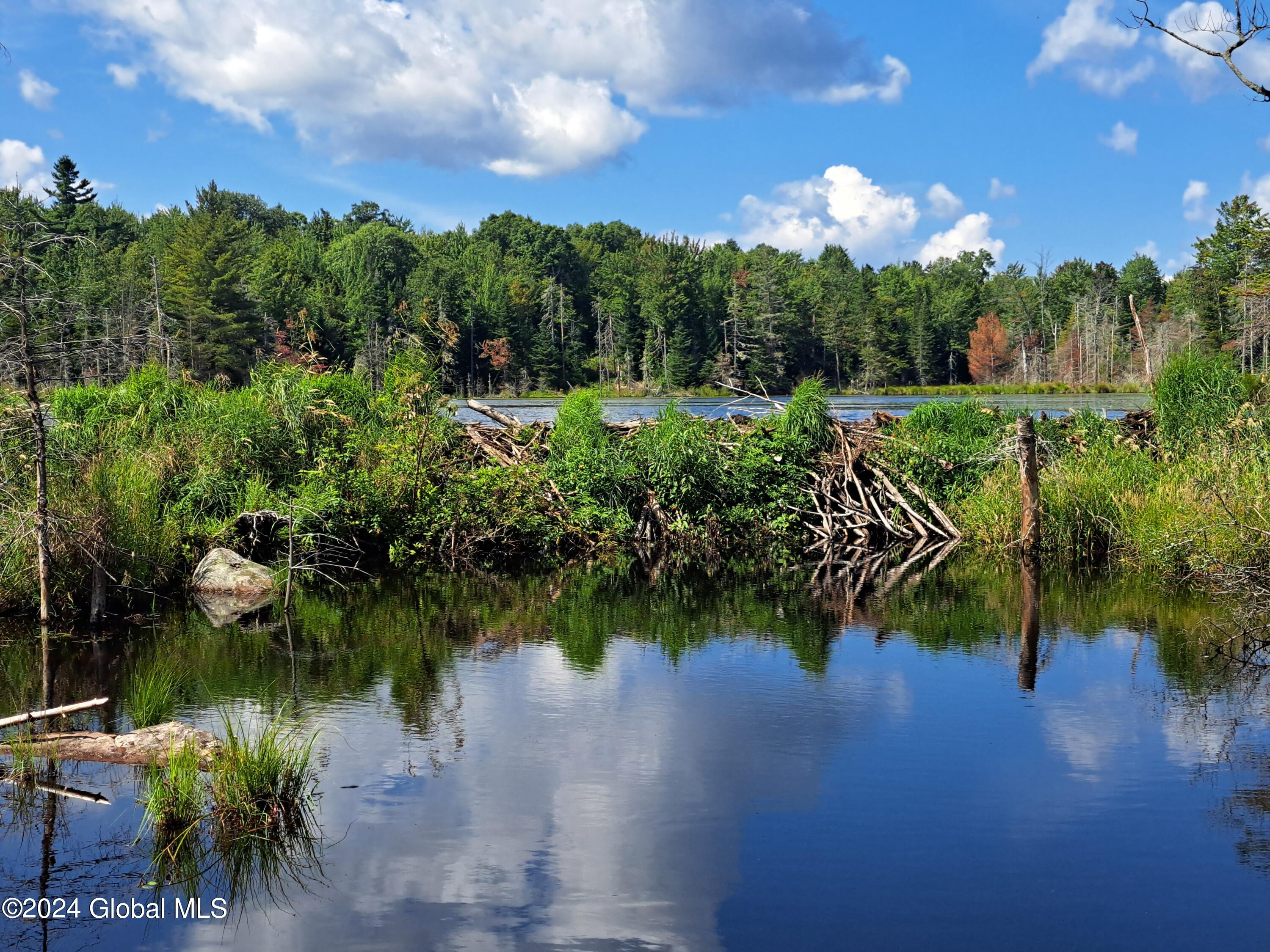 231 Mud Pond Road Peru, NY 12972 - Photo 54 of 64 54 Beaver Dam Below Quiin Pond