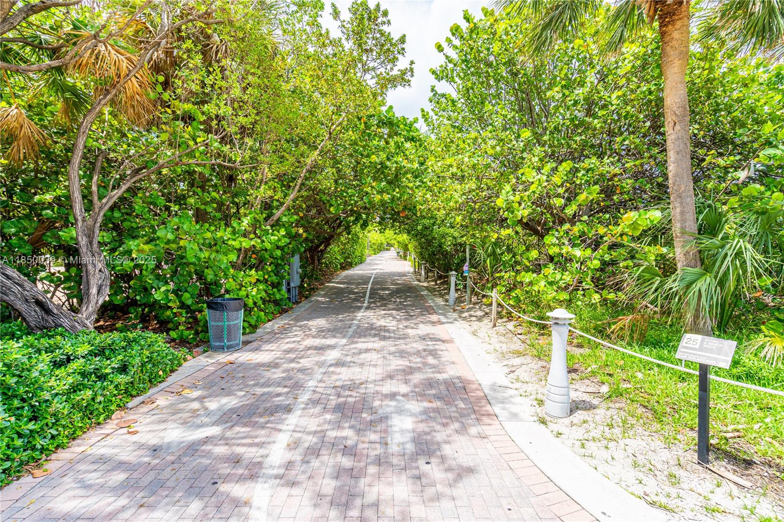 435 21st Street, Unit 322 Miami Beach, FL 33139 - Photo 21 of 41 a view of a pathway of a yard with plants and large trees