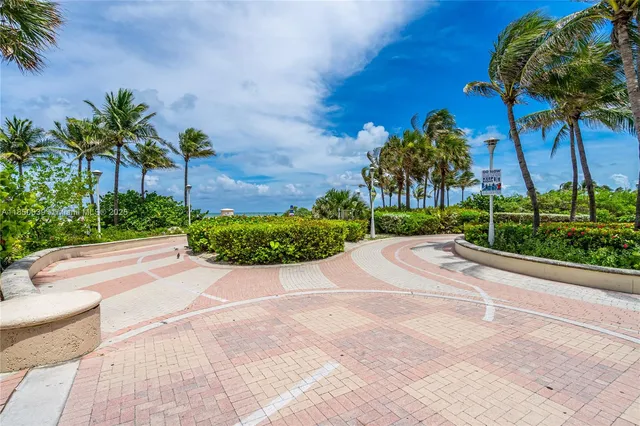 a view of a garden with a palm tree