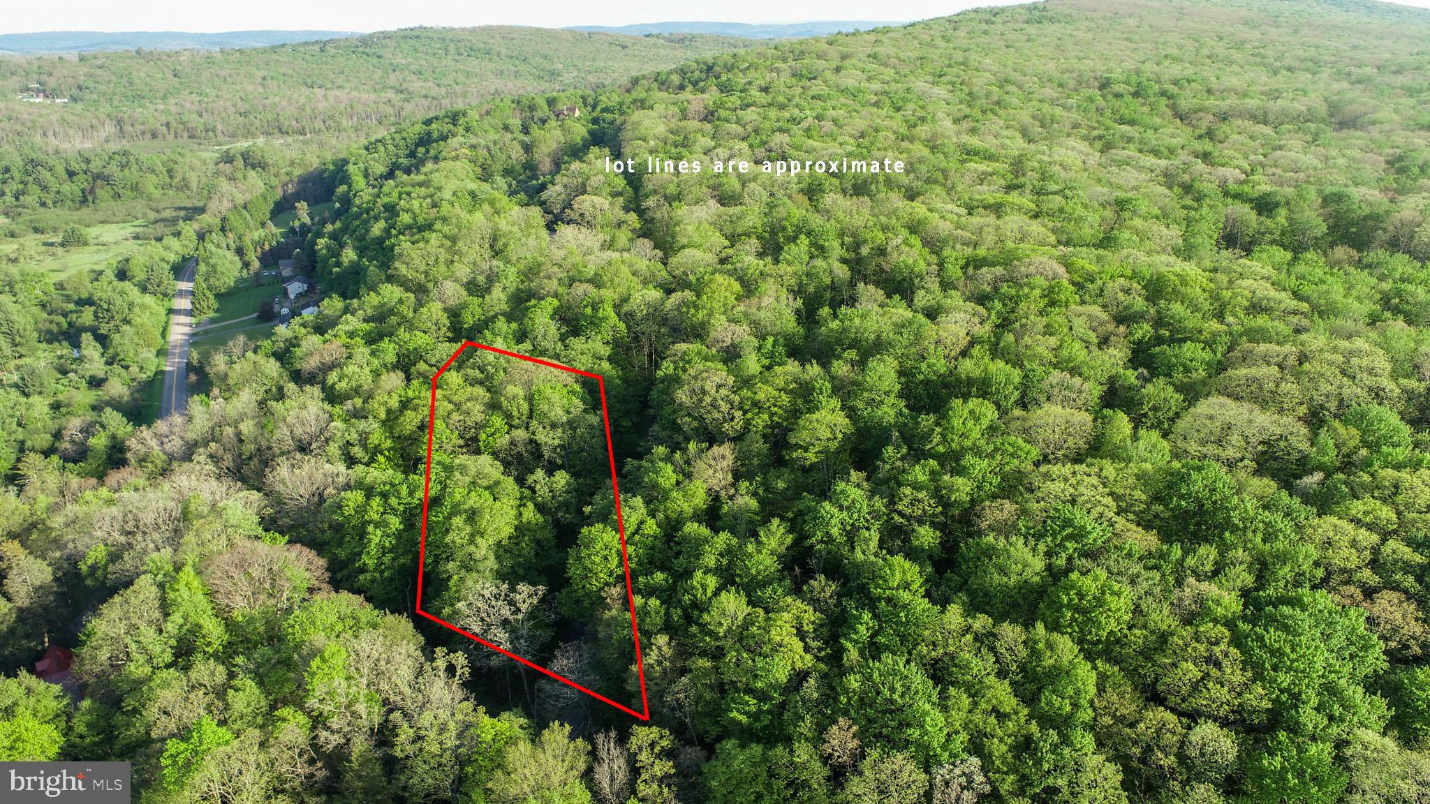 Red Run Heights Road Oakland, MD 21550 - Photo 2 of 24 a view of a lush green forest with a street