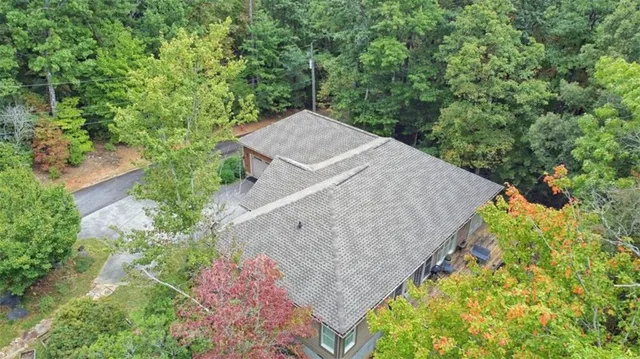 an aerial view of a house with a yard plants and large tree
