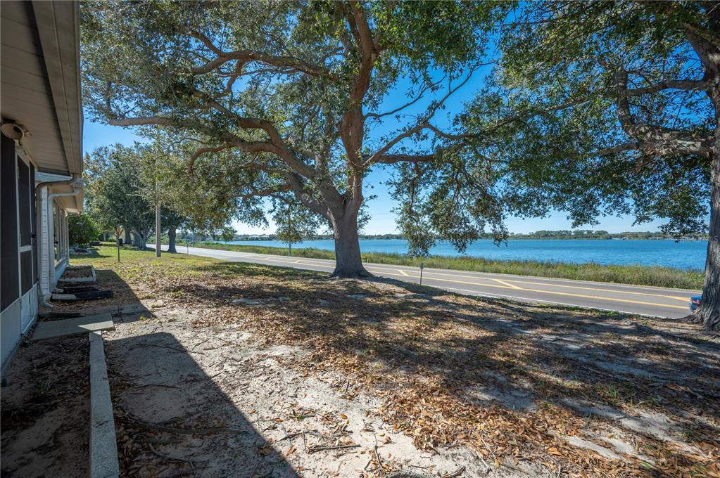 205 Winter Ridge Boulevard Winter Haven, FL 33881 - Photo 23 of 36 a view of a yard with an trees