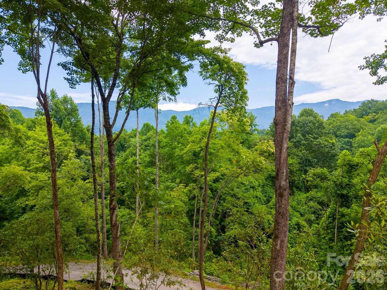 264 Westridge Road Sylva, NC 28779 - Photo 21 of 48