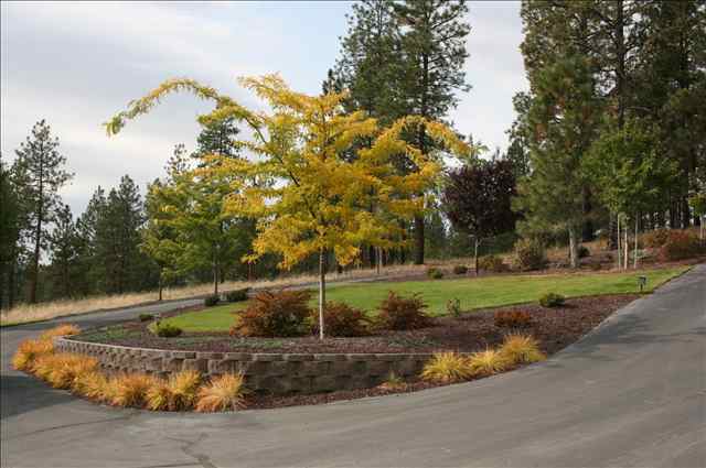 12323 South Baltimore Road Spokane, WA 99223 - Photo 8 of 9 Gallery Image 8