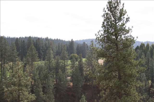 12323 South Baltimore Road Spokane, WA 99223 - Photo 9 of 9 Gallery Image 9