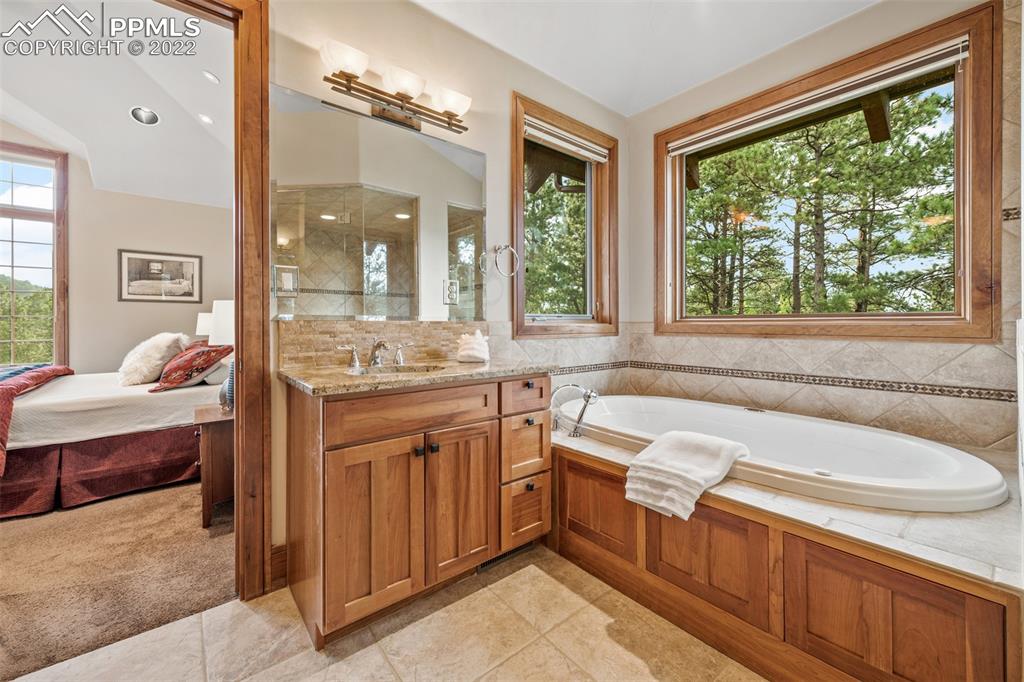 3833 Lorraine Road Larkspur, CO 80118 - Photo 14 of 40 a bathroom with a granite countertop sink and a large mirror
