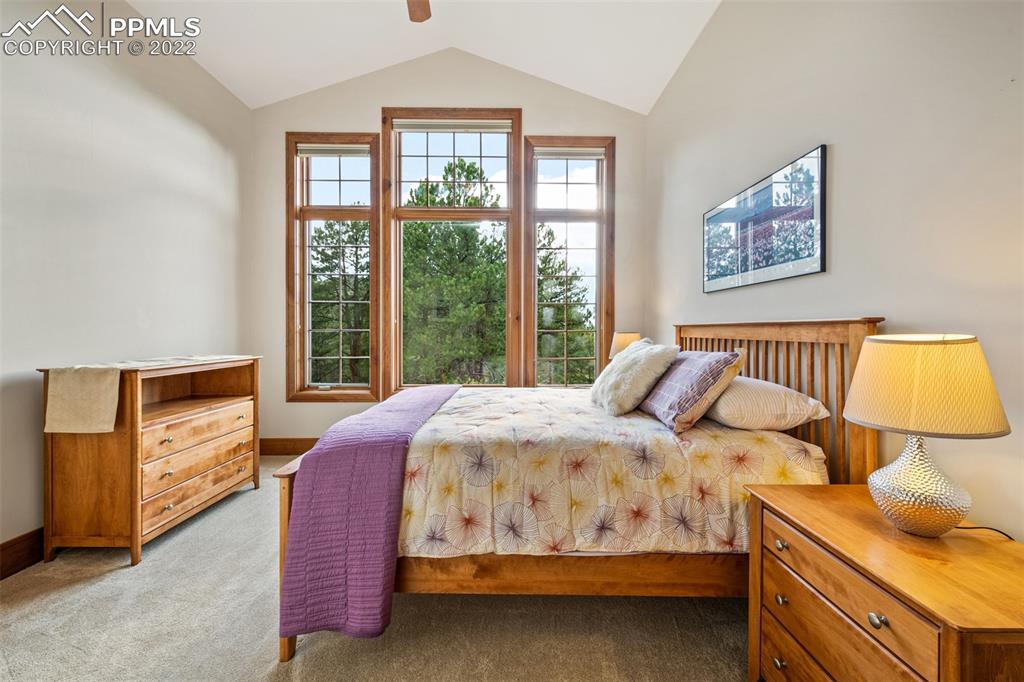 3833 Lorraine Road Larkspur, CO 80118 - Photo 16 of 40 a bedroom with a bed and window
