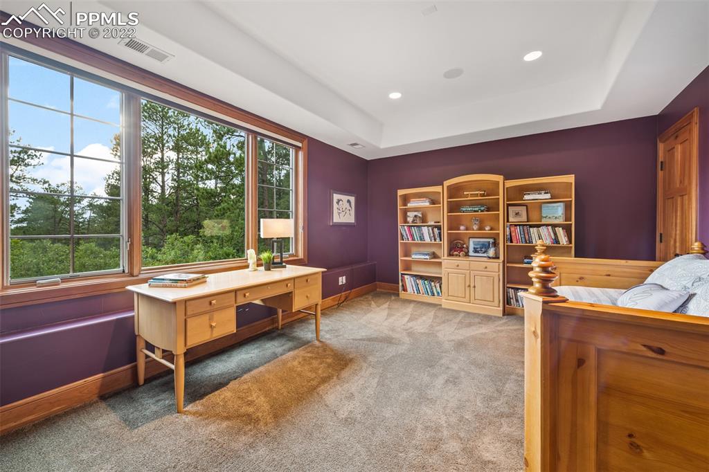 3833 Lorraine Road Larkspur, CO 80118 - Photo 20 of 40 a room with pool table and furniture