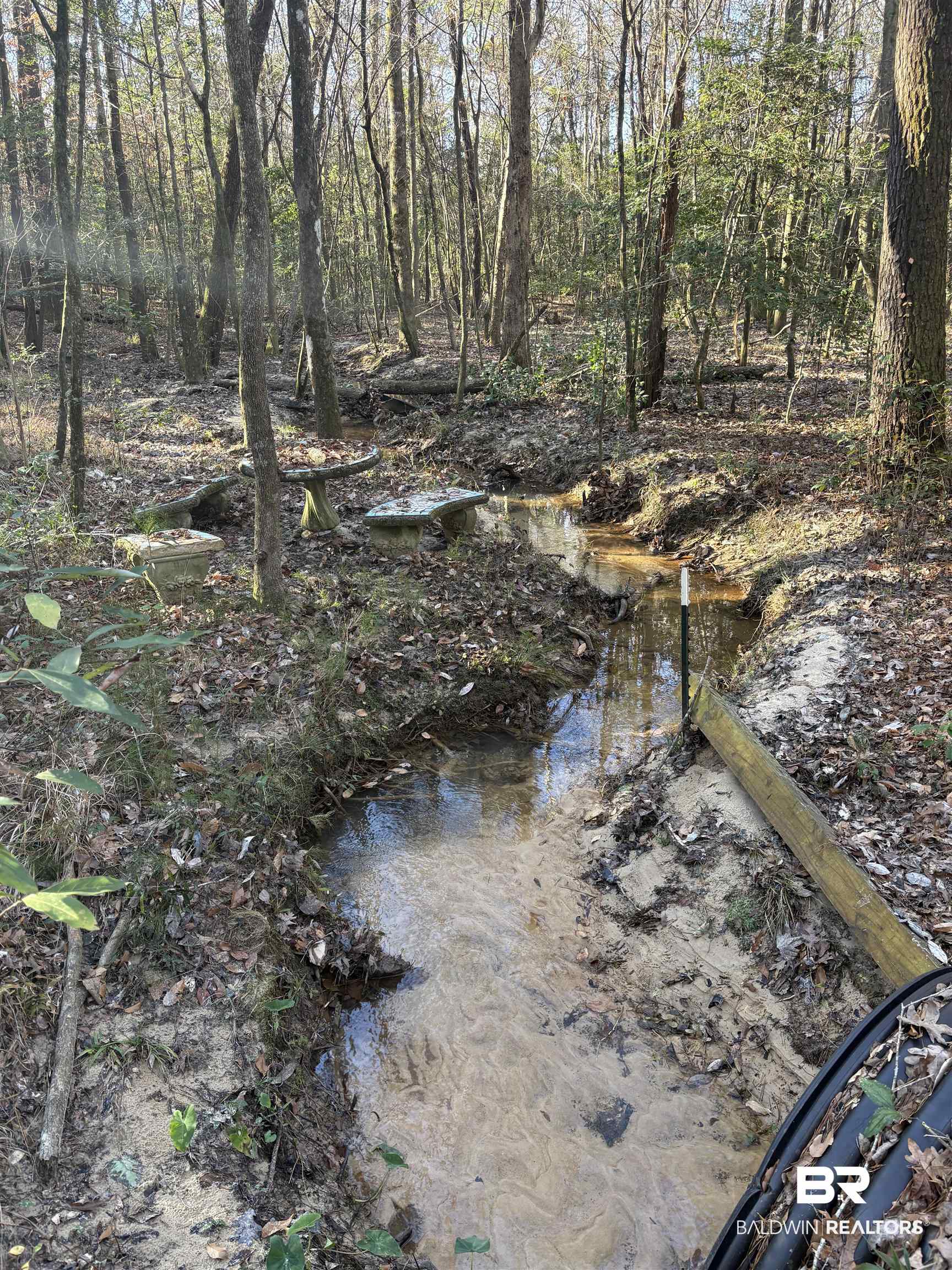 756 Ted Bates Road Evergreen, AL 36401 - Photo 16 of 28 View of local wilderness