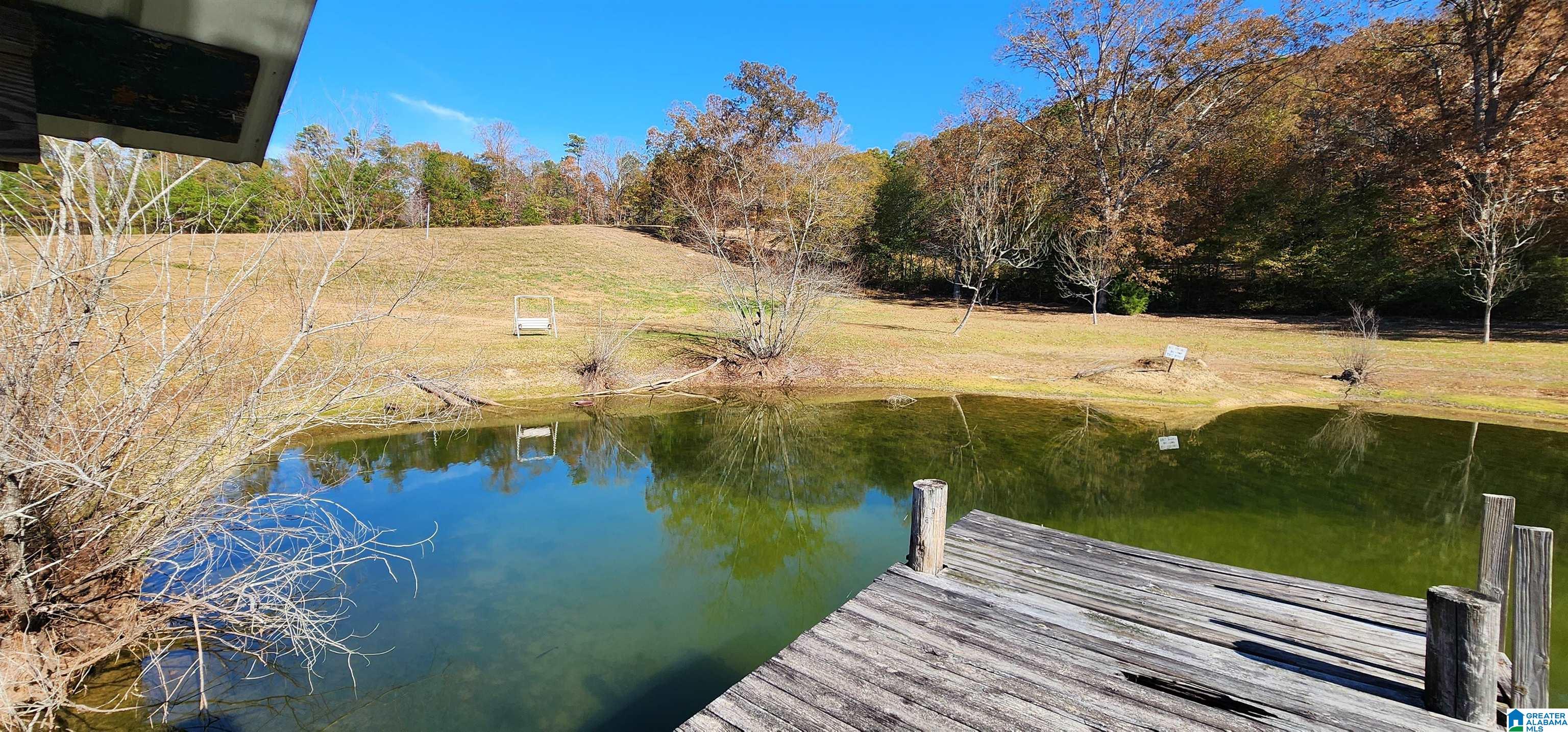 352 Kudzu Road Oneonta, AL 35121 - Photo 2 of 57