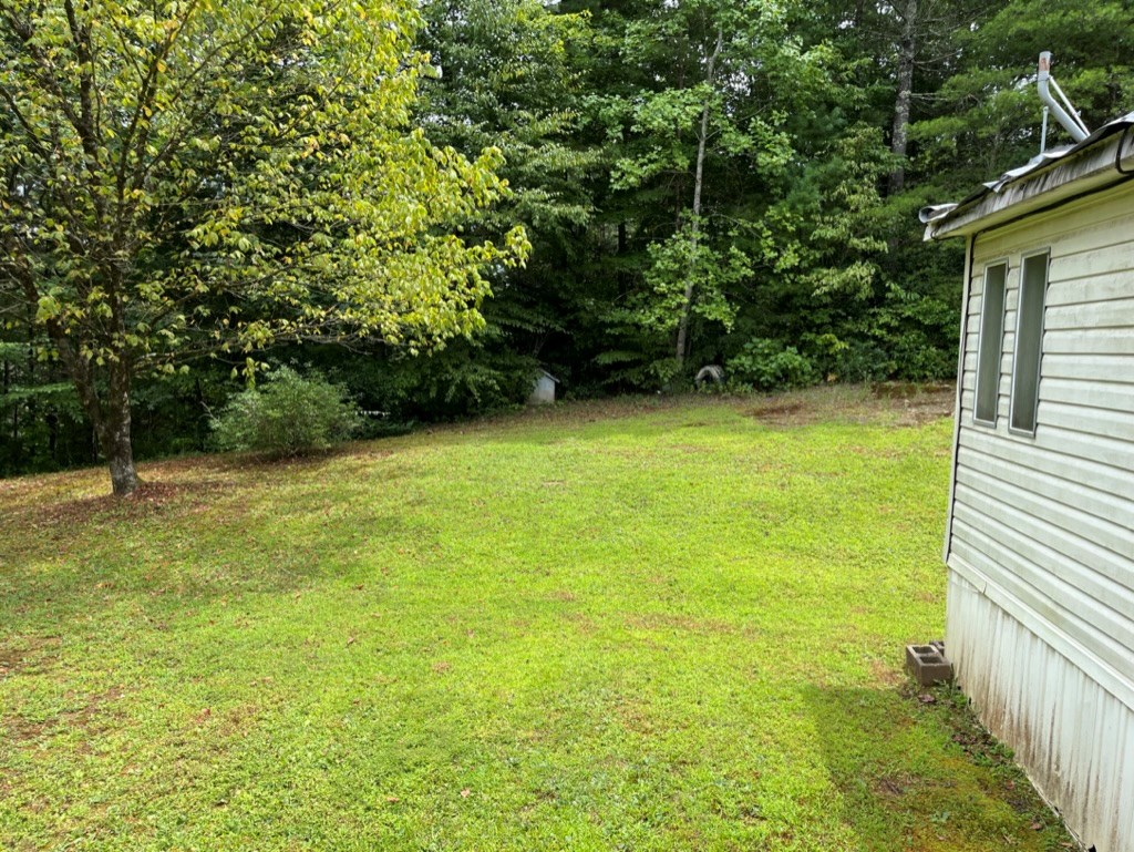 647 Sneed Branch Road Murphy, NC 28906 - Photo 4 of 38 Gallery Image 4