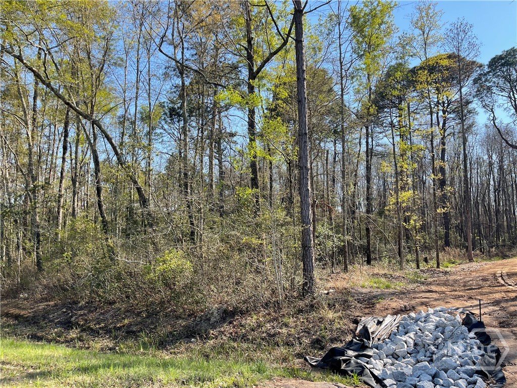 0 Savannah Town Road Springfield, GA 31329 - Photo 1 of 15
