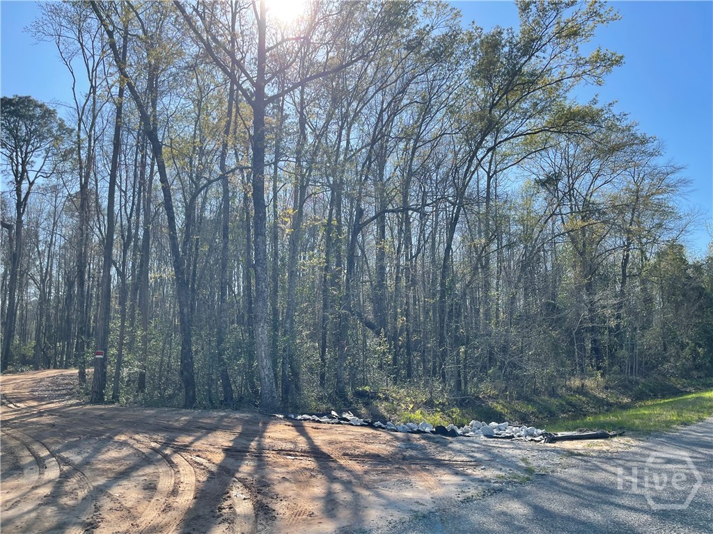 0 Savannah Town Road Springfield, GA 31329 - Photo 2 of 15