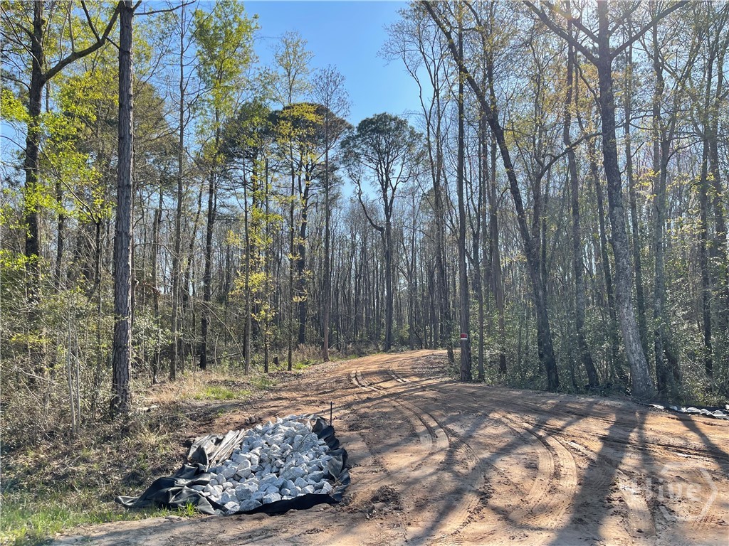 0 Savannah Town Road Springfield, GA 31329 - Photo 3 of 15