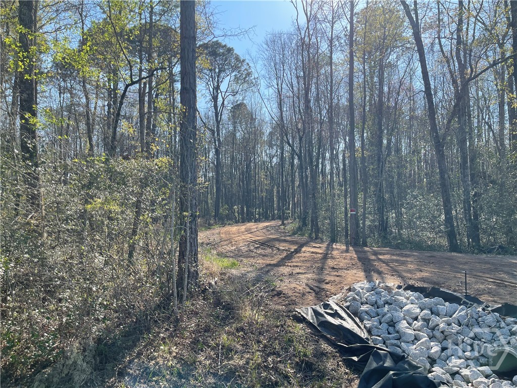 0 Savannah Town Road Springfield, GA 31329 - Photo 5 of 15
