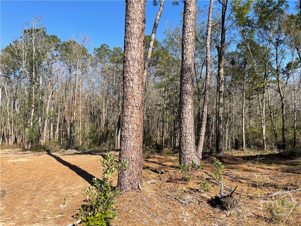 0 Savannah Town Road Springfield, GA 31329 - Photo 10 of 15