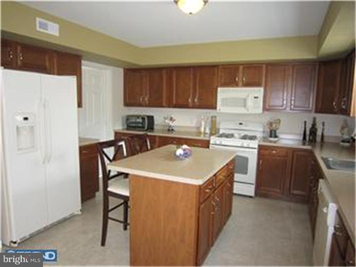 233 Longview Drive Sinking Spring, PA 19608 - Photo 21 of 22