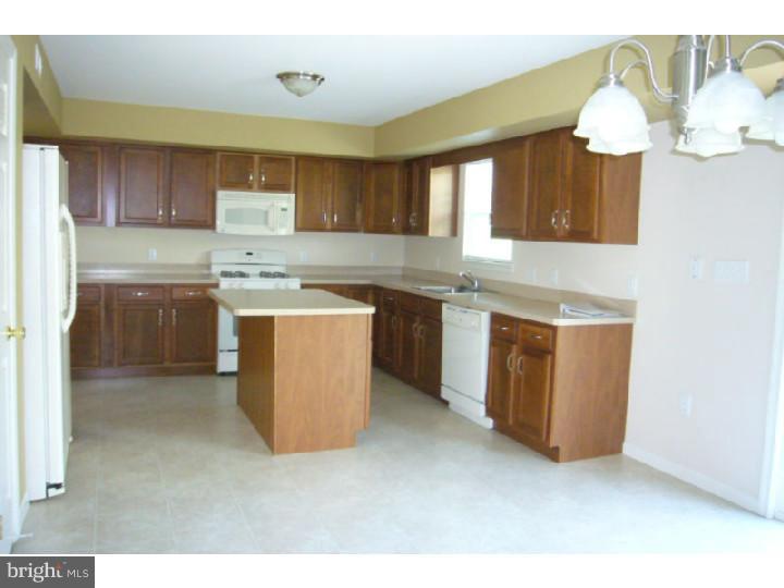 233 Longview Drive Sinking Spring, PA 19608 - Photo 6 of 22