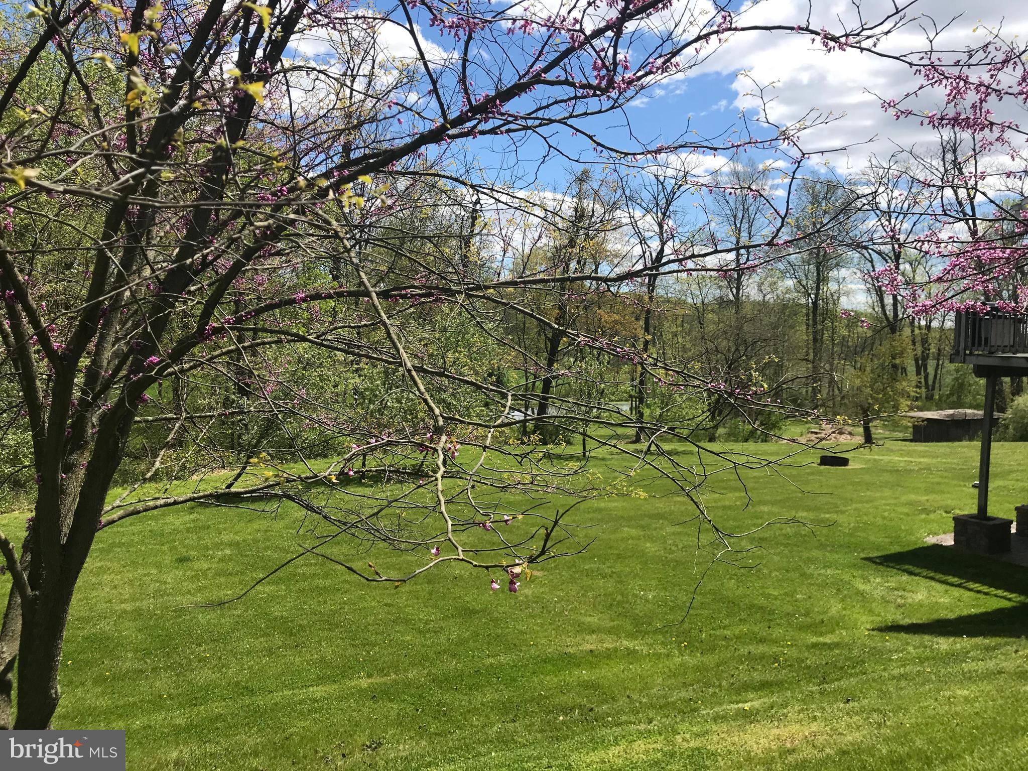 118 Alwine Road Middletown, PA 17057 - Photo 8 of 27 Gallery Image 8