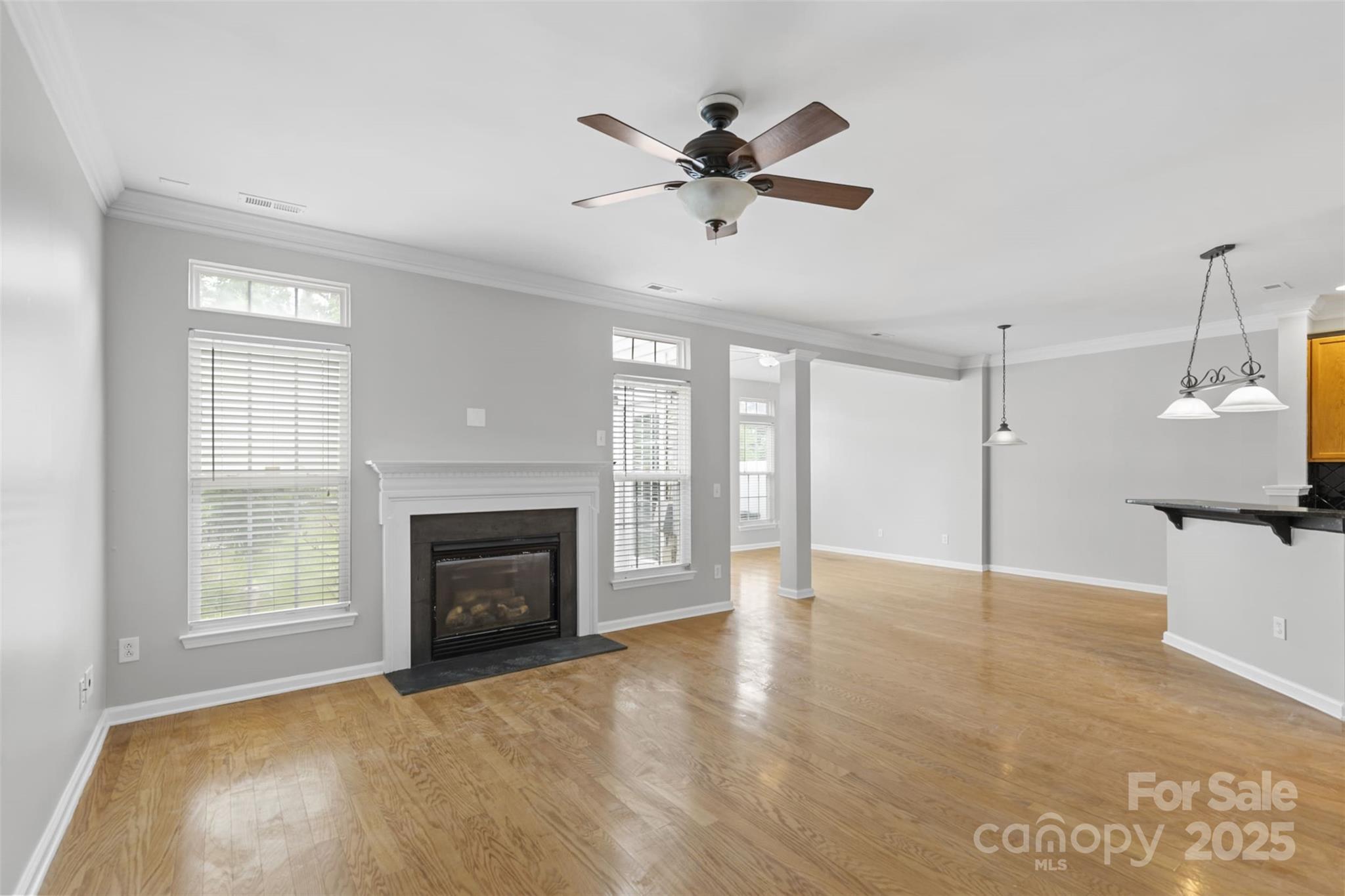 151 Snead Road Fort Mill, SC 29715 - Photo 2 of 29