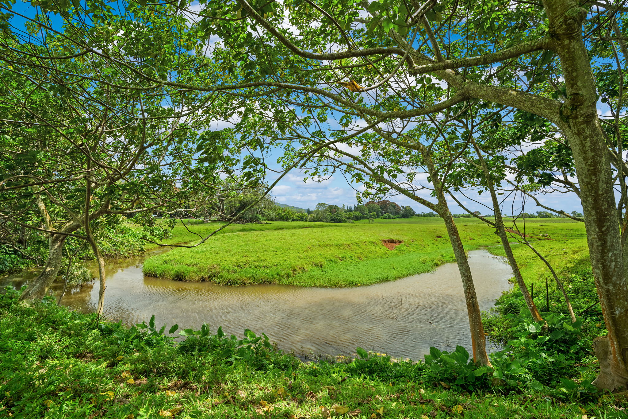 636 Puuopae Road Kapaa, HI 96746 - Photo 21 of 27
