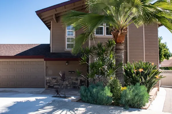 a palm plant in front of a house
