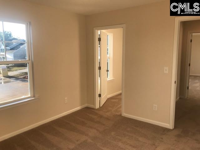 1375 Tamarind Lane Chapin, SC 29036 - Photo 15 of 18