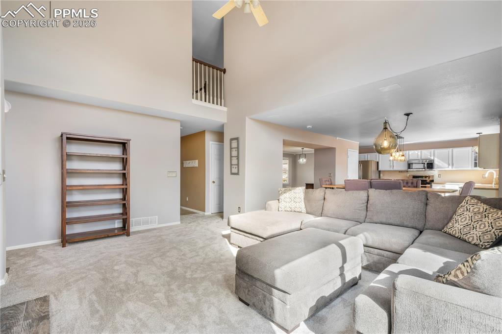 531 Fox Run Circle Colorado Springs, CO 80921 - Photo 17 of 50