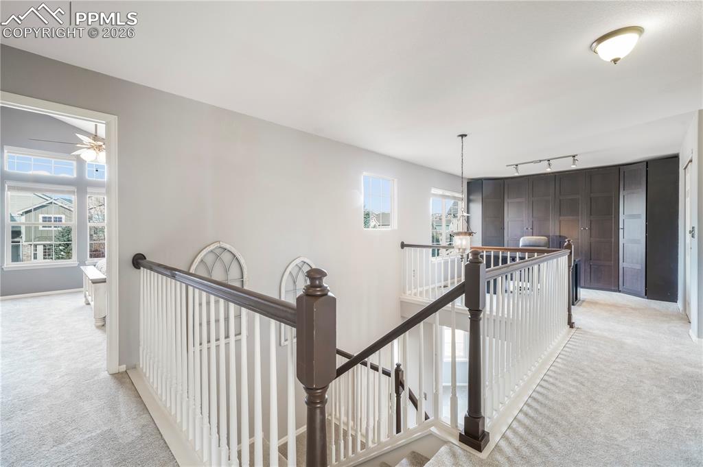 531 Fox Run Circle Colorado Springs, CO 80921 - Photo 19 of 50