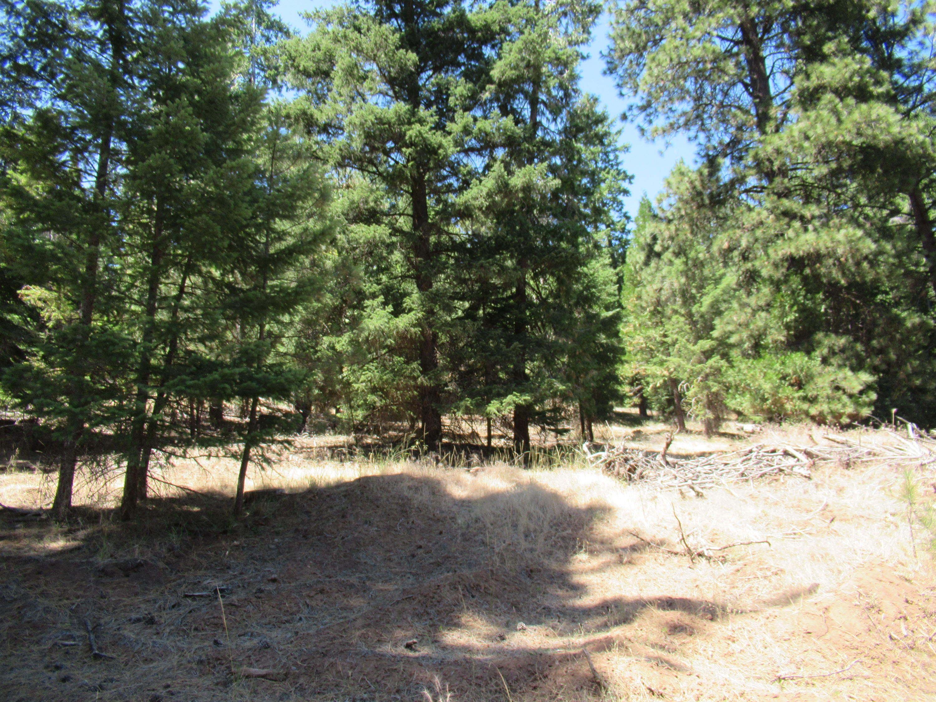 Christopher Road Keno, OR 97627 - Photo 6 of 14 Lot #1