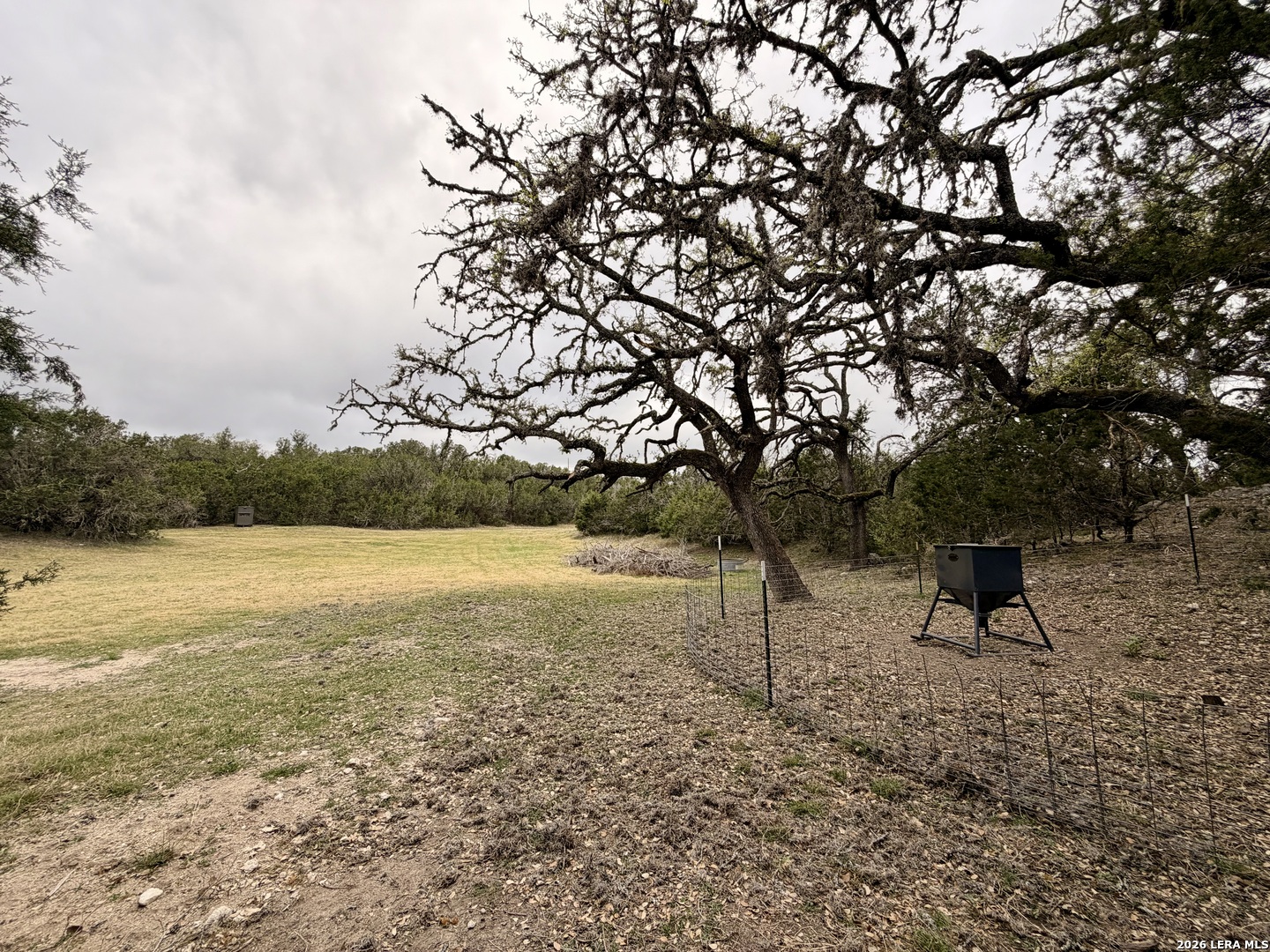 197 Two Sisters Road Medina, TX 78055 - Photo 6 of 40