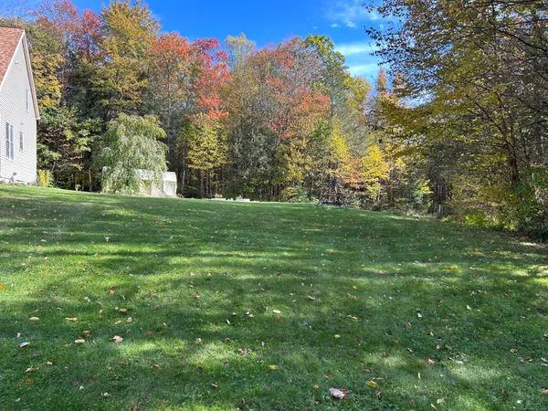 a view of a flower in a yard