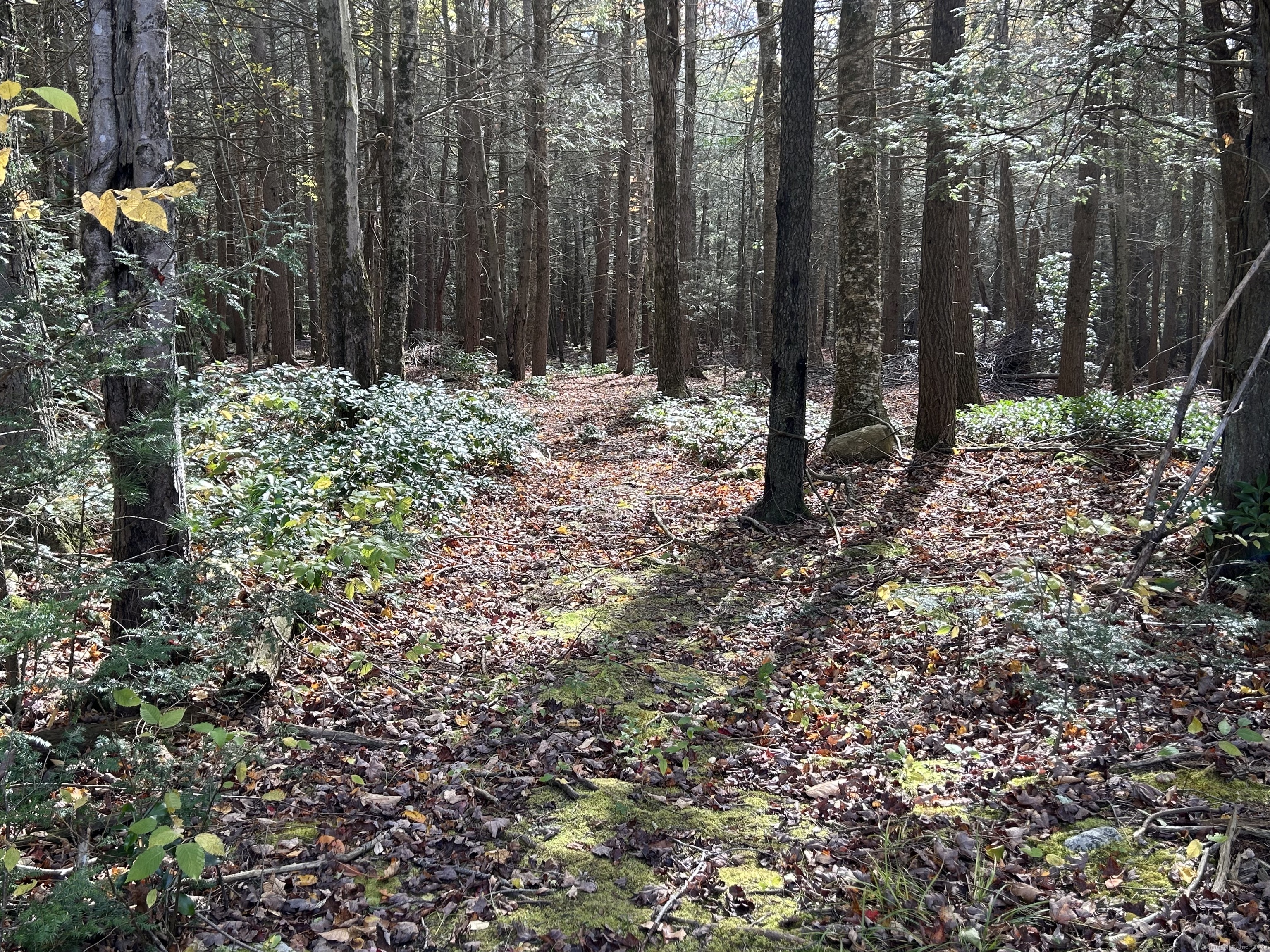 106 A Pinney Street Colebrook, CT 06021 - Photo 33 of 40