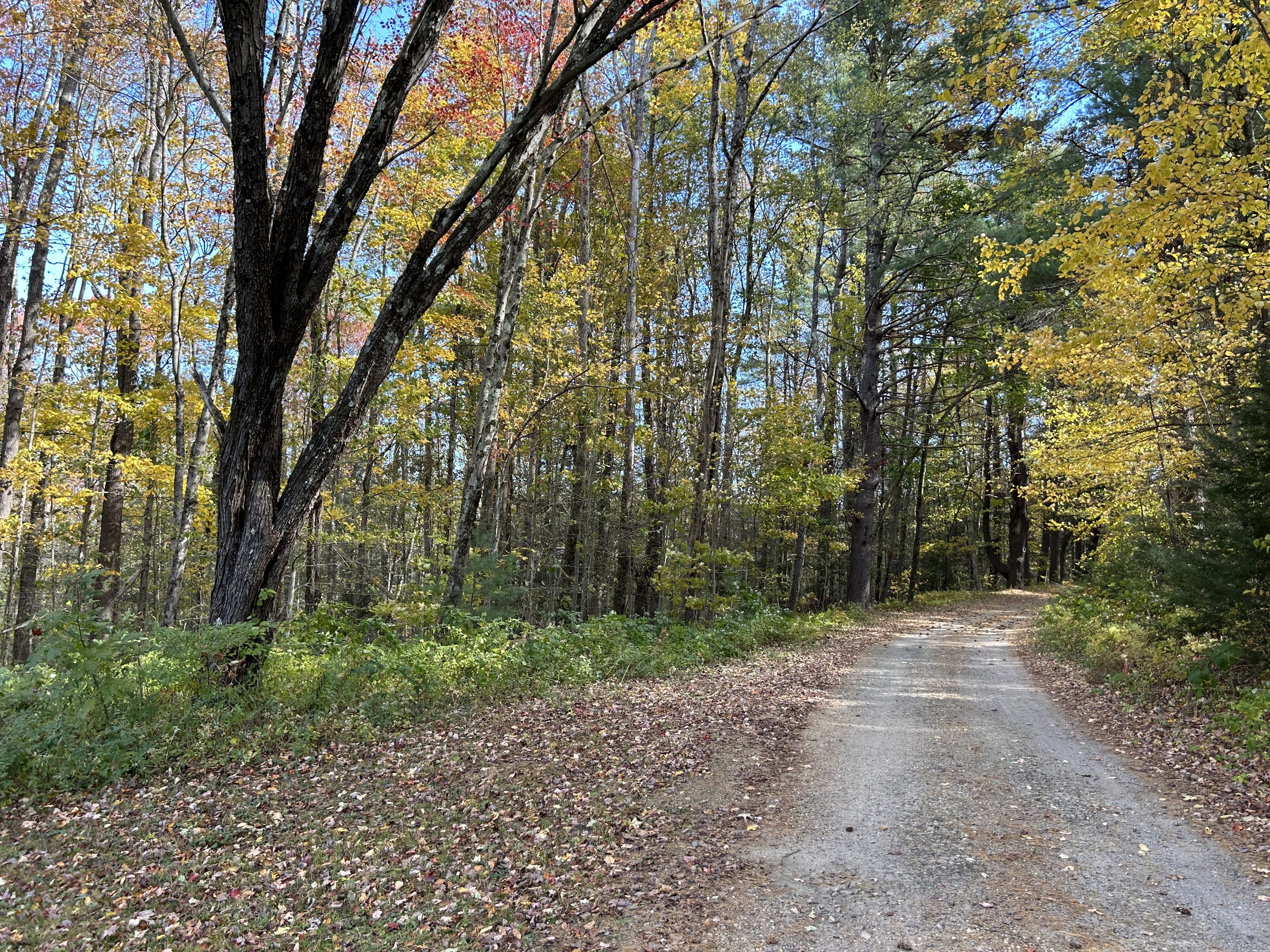 106 A Pinney Street Colebrook, CT 06021 - Photo 4 of 40