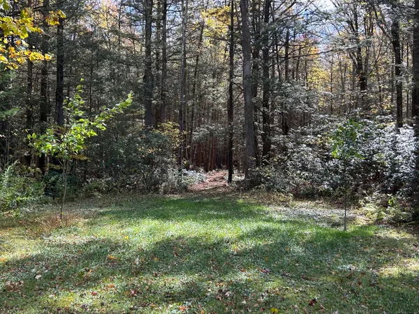 a view of a park