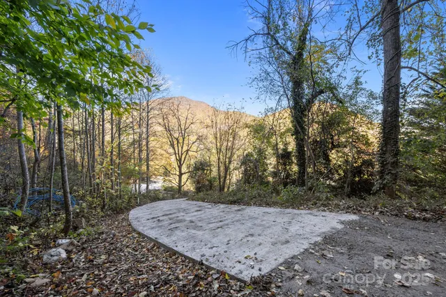 a view of a backyard with large trees