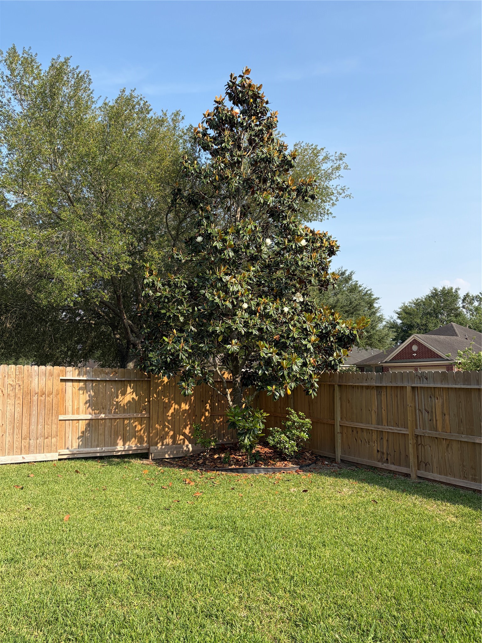 2515 Silverton Bend Rosenberg, TX 77471 - Photo 10 of 28