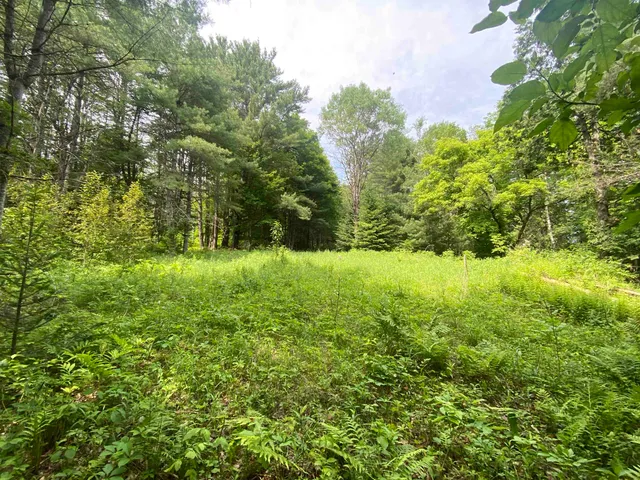 $249,900 | 0 Simpson Brook Road, Waterford, VT 05819
