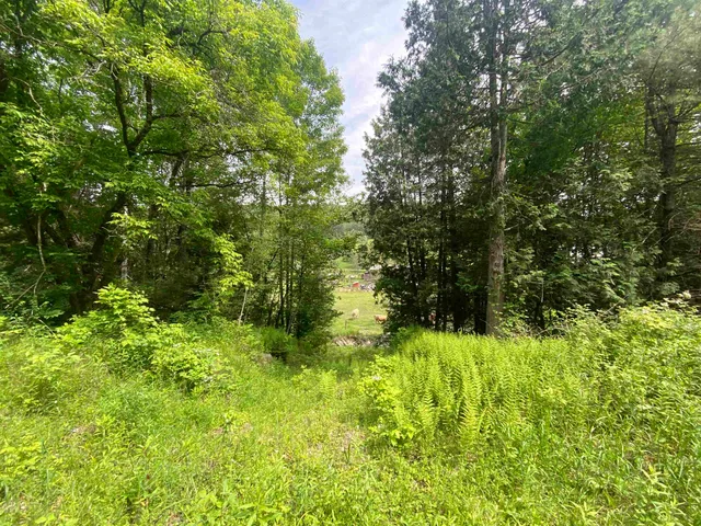 $249,900 | 0 Simpson Brook Road, Waterford, VT 05819