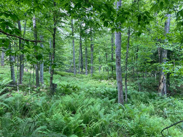 $249,900 | 0 Simpson Brook Road, Waterford, VT 05819