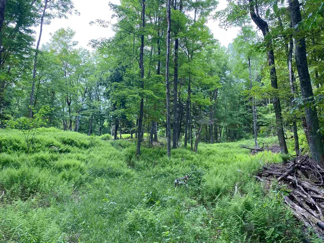 $249,900 | 0 Simpson Brook Road, Waterford, VT 05819