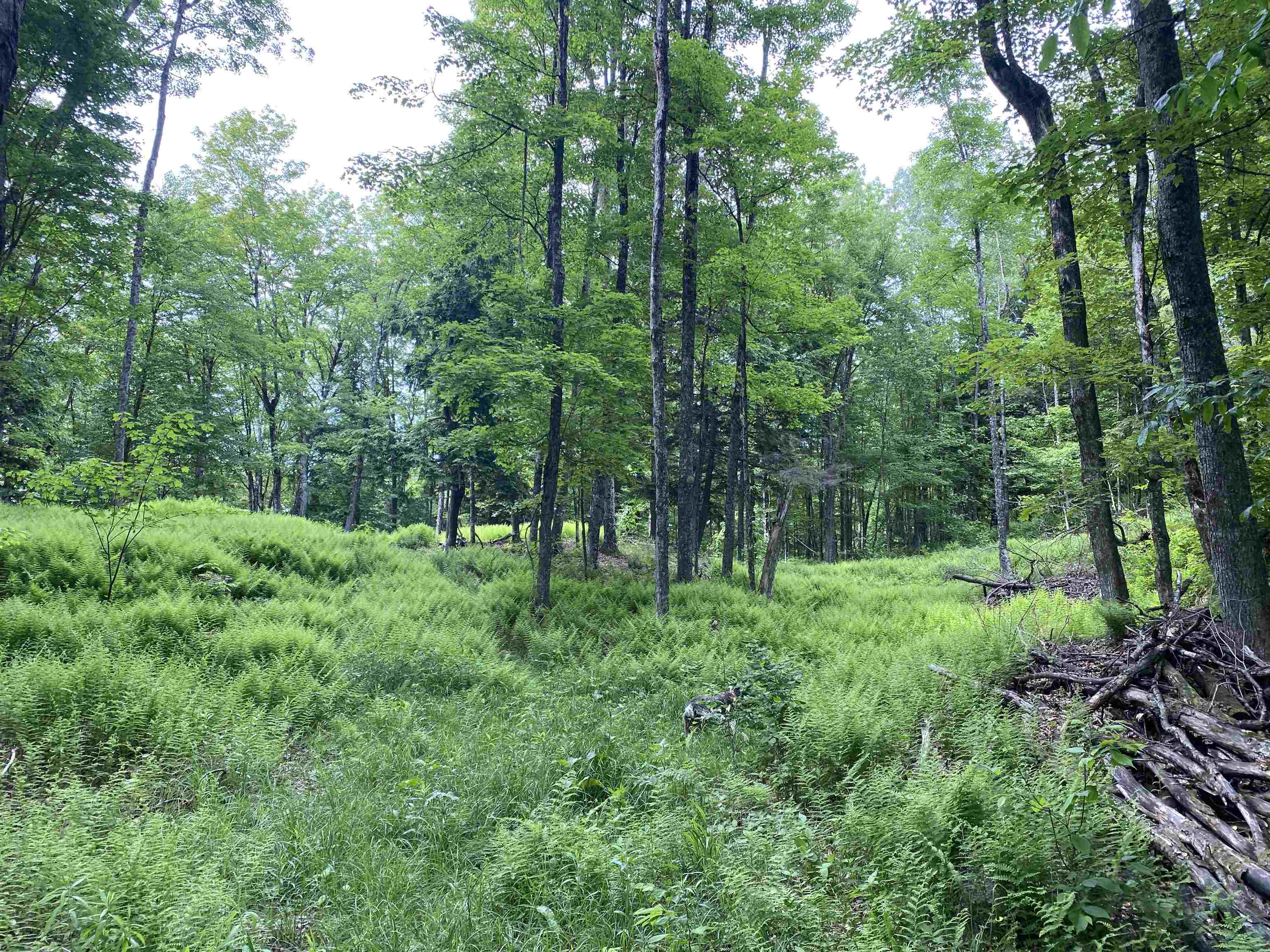 0 Simpson Brook Road Waterford, VT 05819 - Photo 4 of 8