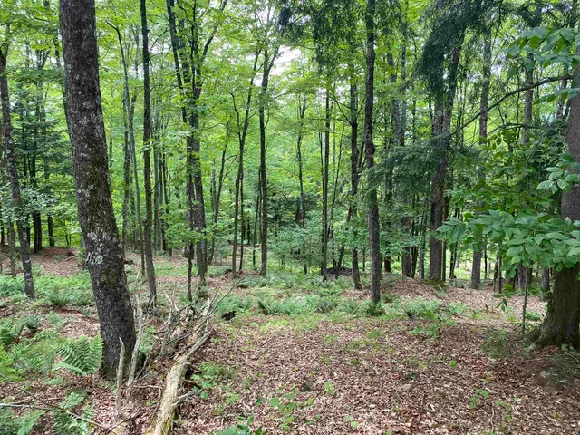$249,900 | 0 Simpson Brook Road, Waterford, VT 05819