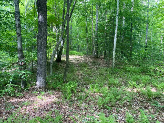 $249,900 | 0 Simpson Brook Road, Waterford, VT 05819