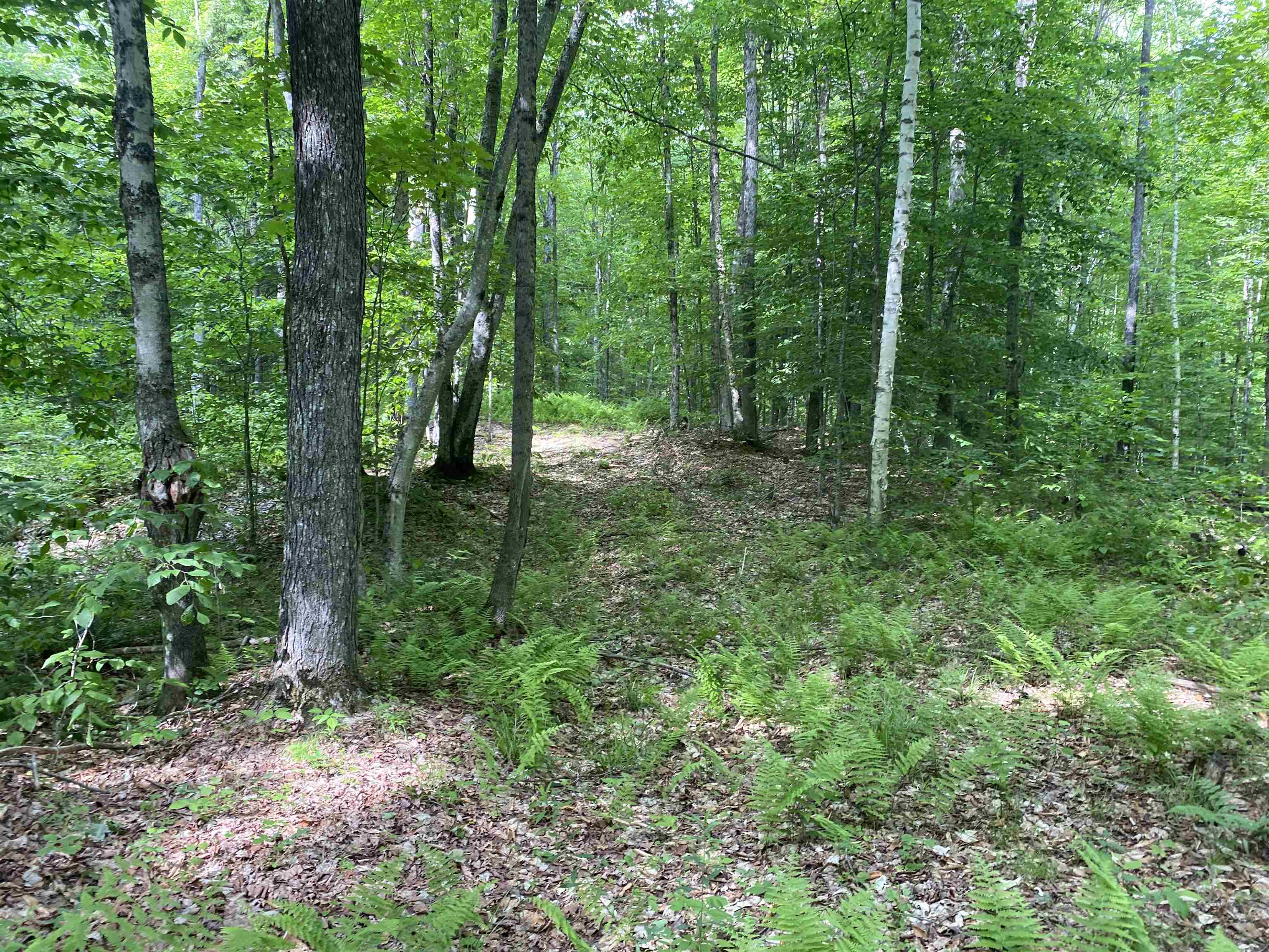 0 Simpson Brook Road Waterford, VT 05819 - Photo 6 of 8