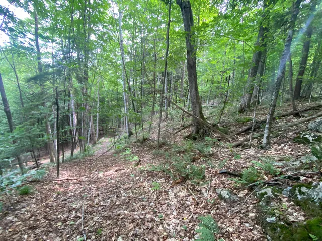 $249,900 | 0 Simpson Brook Road, Waterford, VT 05819