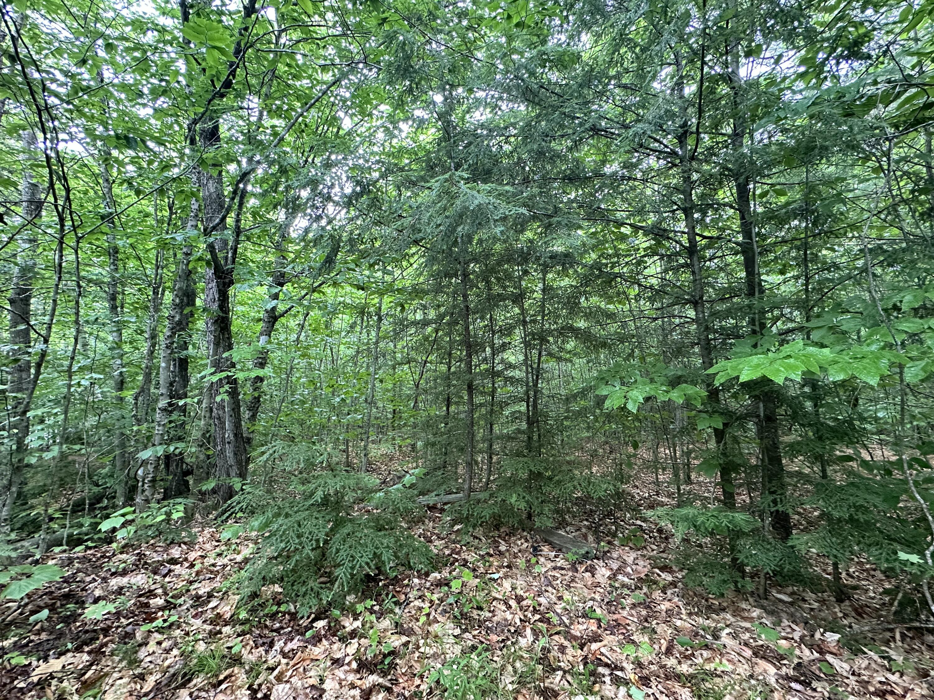 1-20 Claybrook Road Kingfield, ME 04947 - Photo 3 of 7